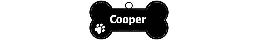 Bone Name Tag Template