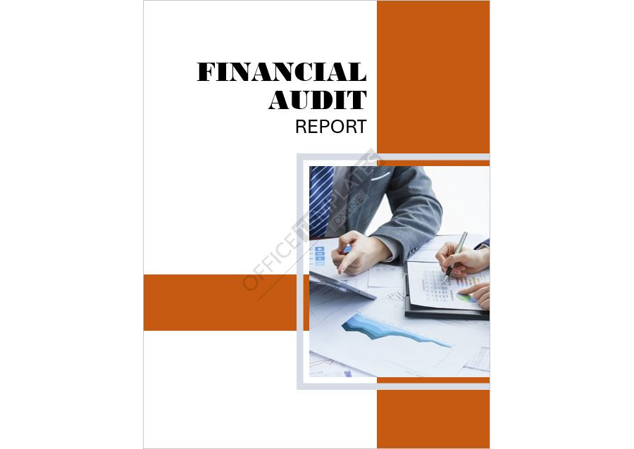 Financial Audit Report Template