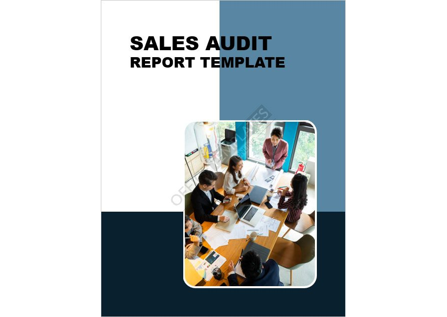 Sales Audit Report Template
