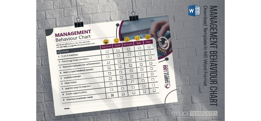 Management Behaviour Chart Template