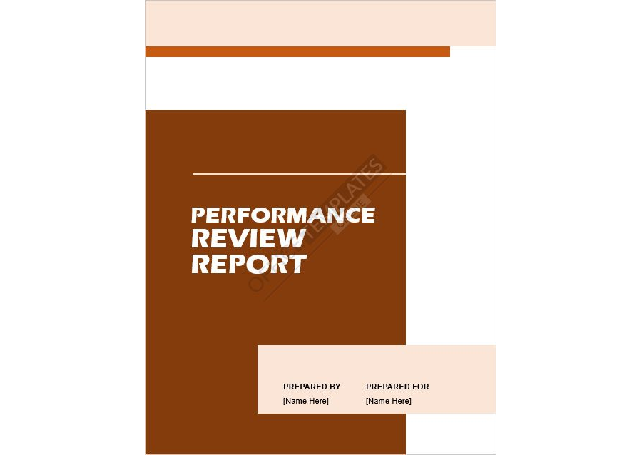 Performance Review Report Template