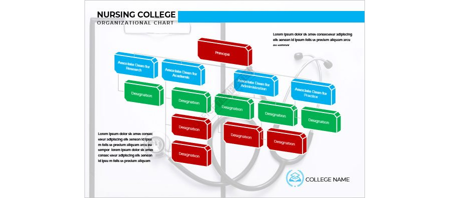 Nursing College Organizational Chart Template in MS Word
