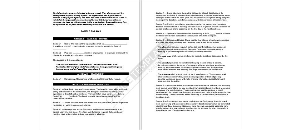 Sample Corporate Bylaws Format 13