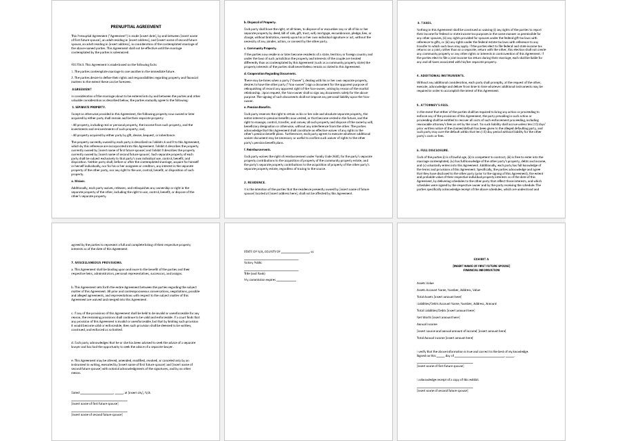 Prenuptial Agreement template