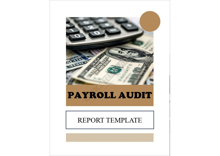 Payroll Audit Report Template