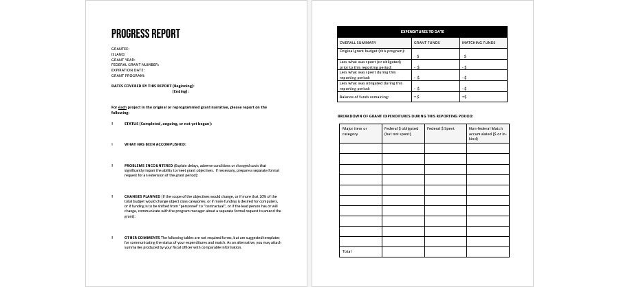 Download Progress Report Outline Template