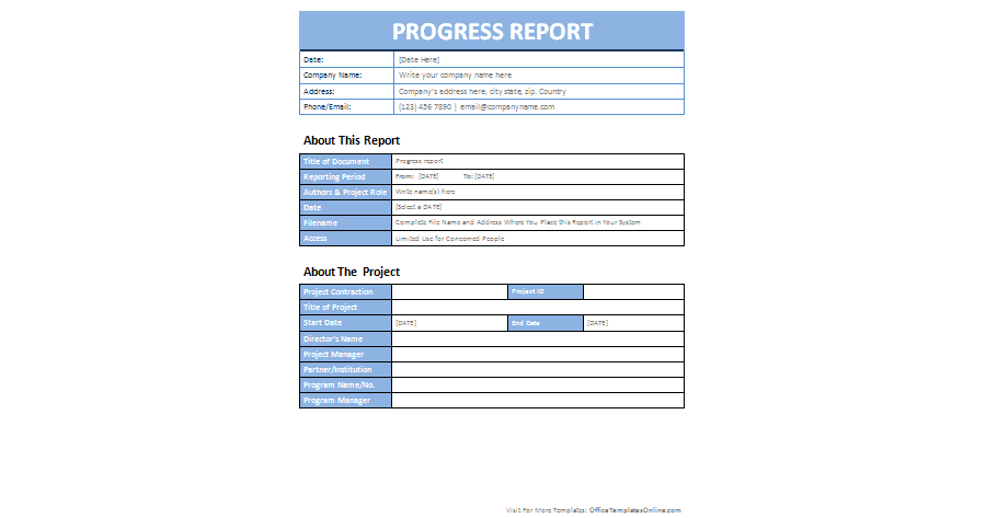 Download Company Progress Report on a Project