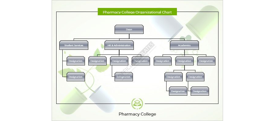 Pharmacy College Organizational Chart Template in MS Word