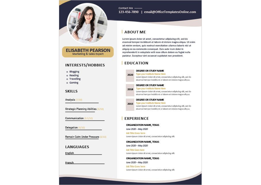 Download Sales Manager Resume Template for MS Word