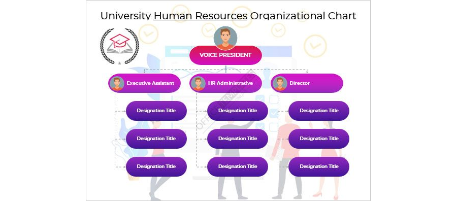 University Human Resource Organizational Chart Template in MS Word