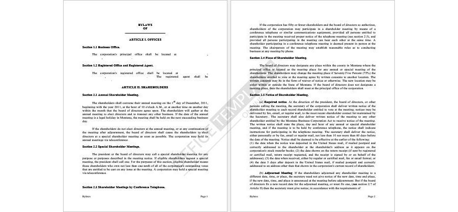 Corporate Bylaws Format 04