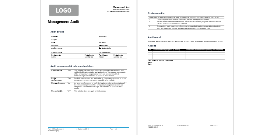 Sample Audit Report Template