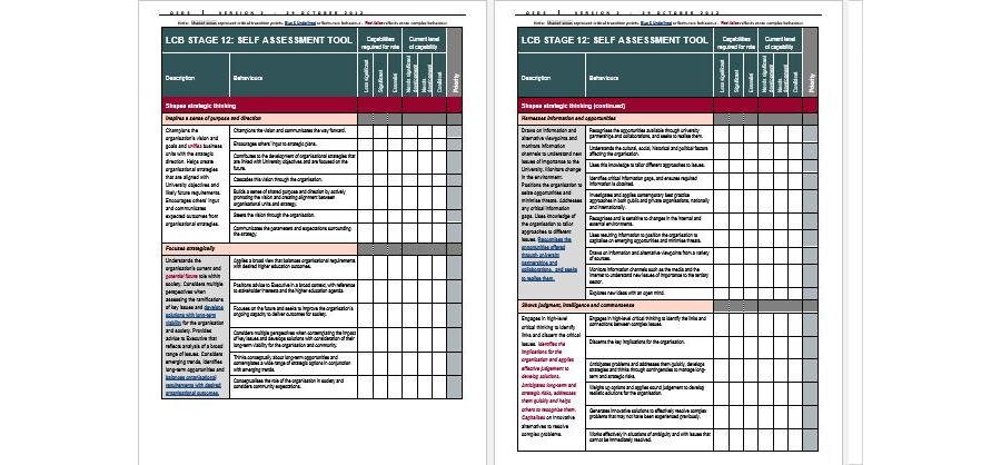Download Self Assessment Guides Integrated Leadership Strategy Outline Template