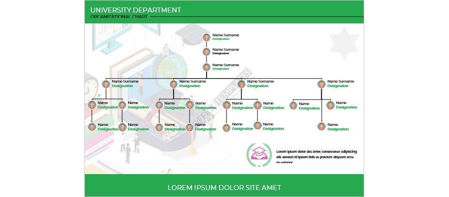 University Department Organizational Chart Template in MS Word