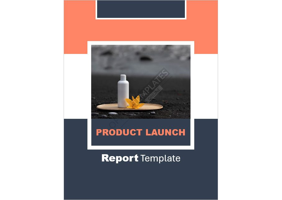 Product Launch Report Template