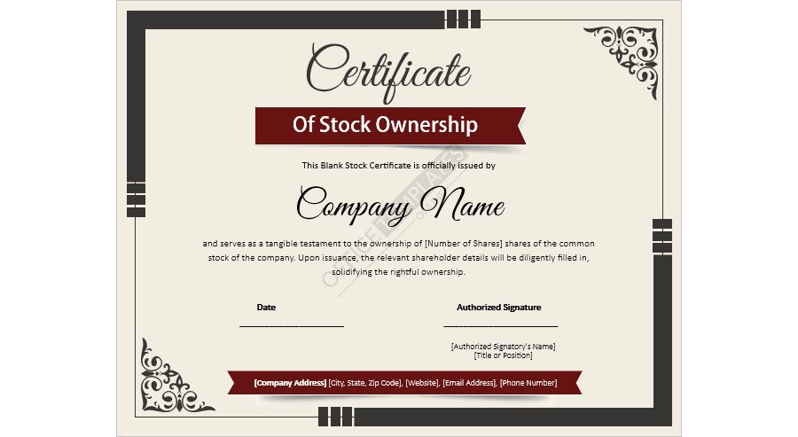 Customizable Blank Stock Certificate Template