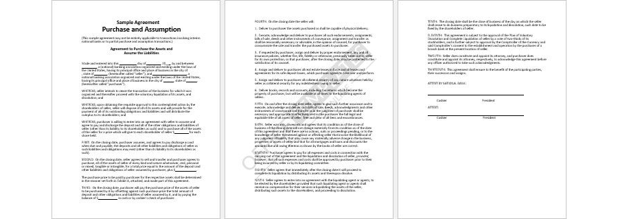 Asset Acquisition Agreement Template