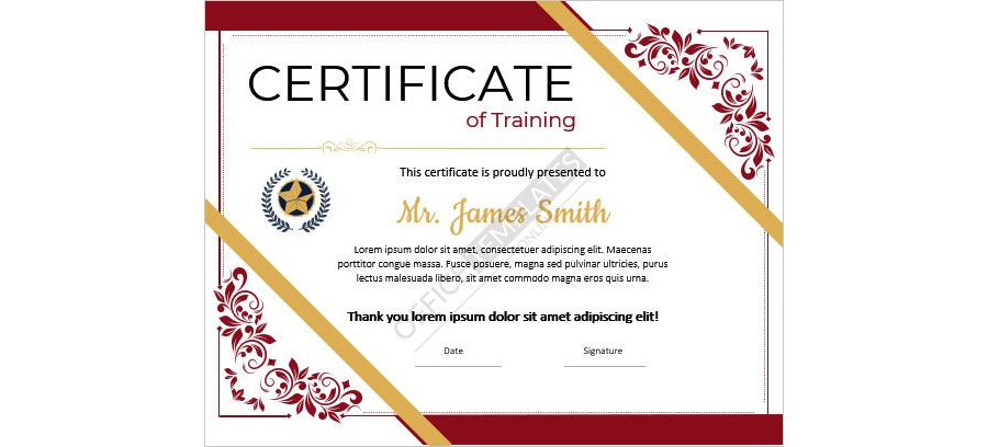 Download Certificate of Sports Training Template for MS Word