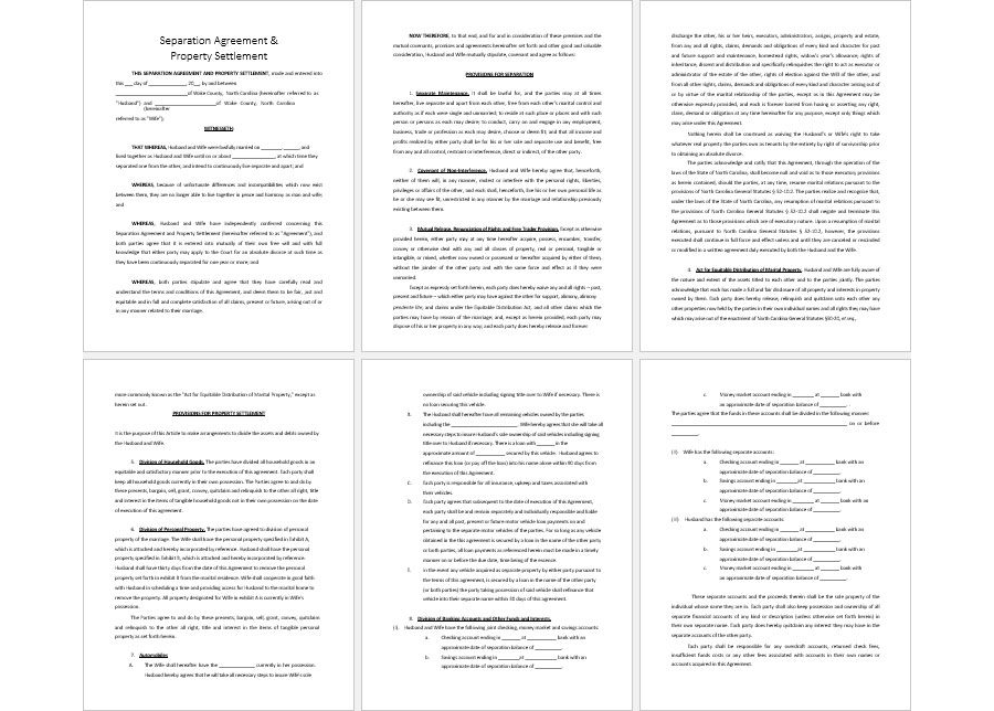 Separation and Property Settlement Agreement Template