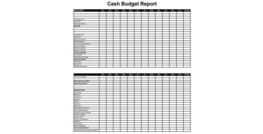 Download Cash Budget Report Template