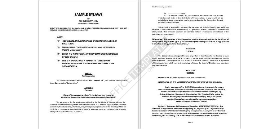 Sample Corporate Bylaws Format 12