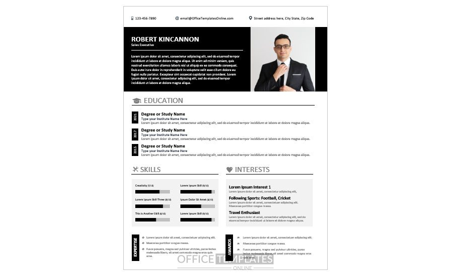 Download Fresher Sales Executive Resume/CV Format for MS Word