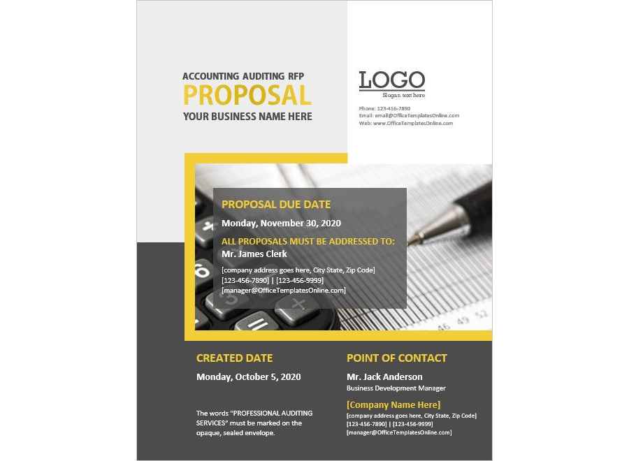 Download Accounting Professional Auditing Services RFP (Request for Proposal)