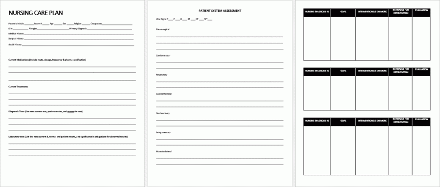 Printable Nursing Care Plan - PDF Version