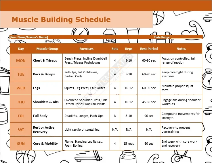 Muscle Building Schedule Template