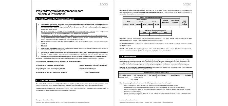 Download Project Program Management Report Template