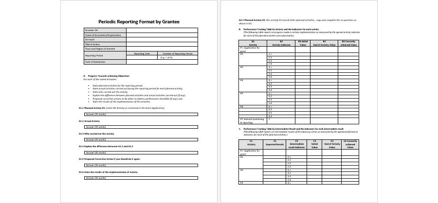 Download Grantee Periodic Reporting Template