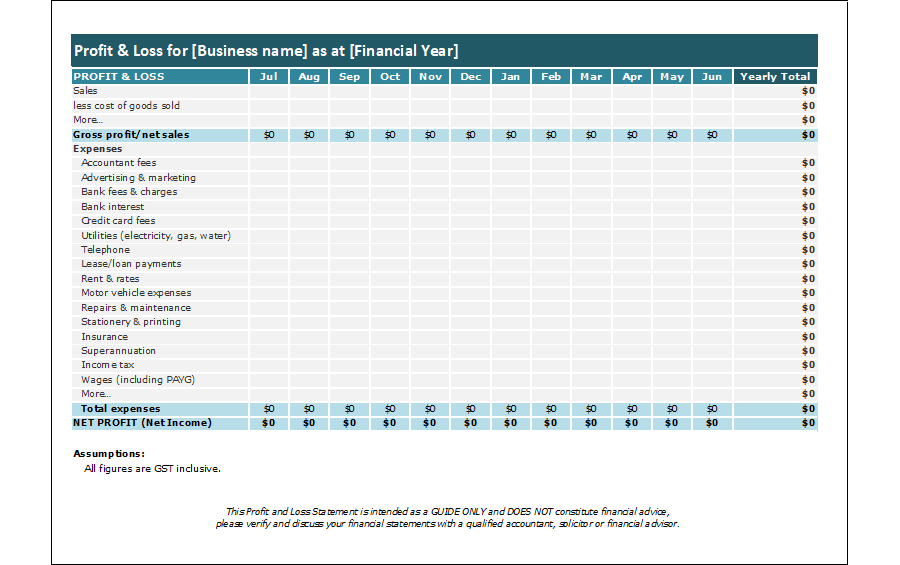 Business profit and Loss Report Template