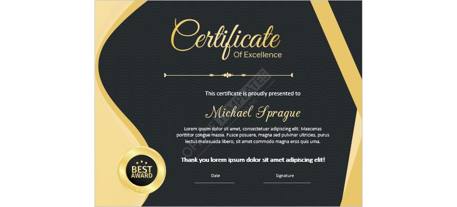 Download Professional Sports Certificate of Excellence - MS Word Template