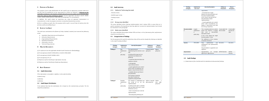 Health Department Audit Report