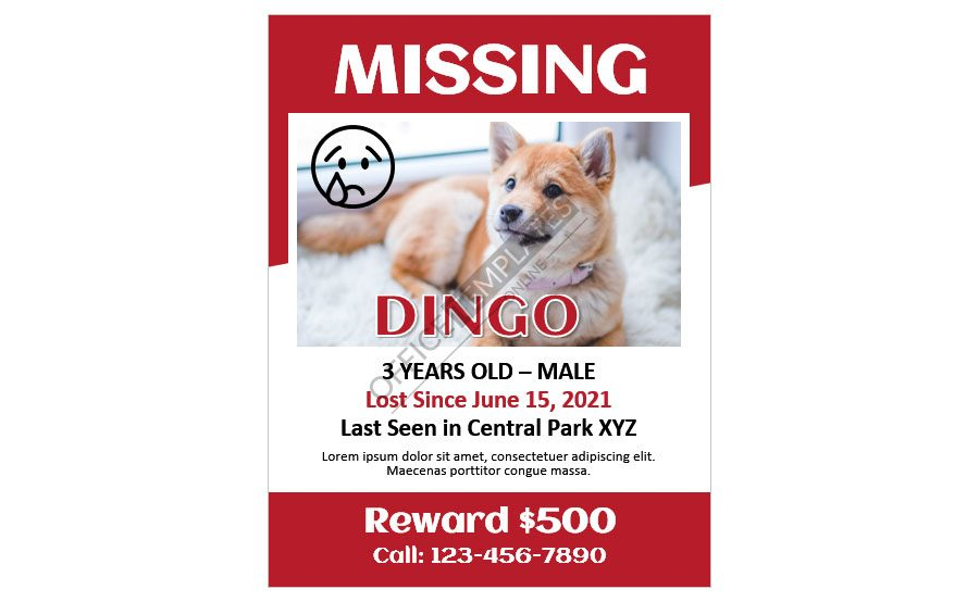 Download Missing Pet (Dog) Announcement Template in Microsoft Word