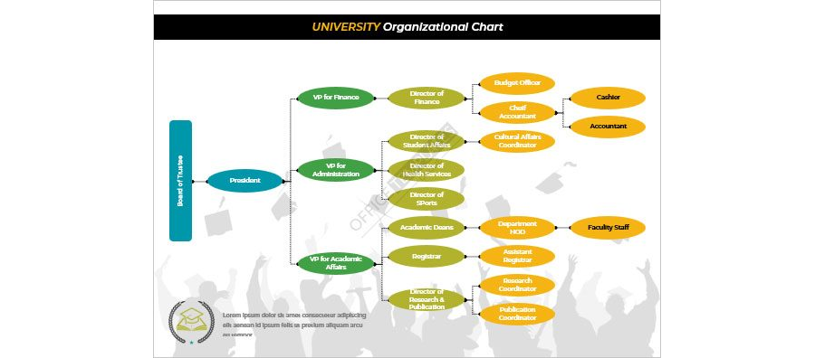 University Organizational Chart Template in MS Word