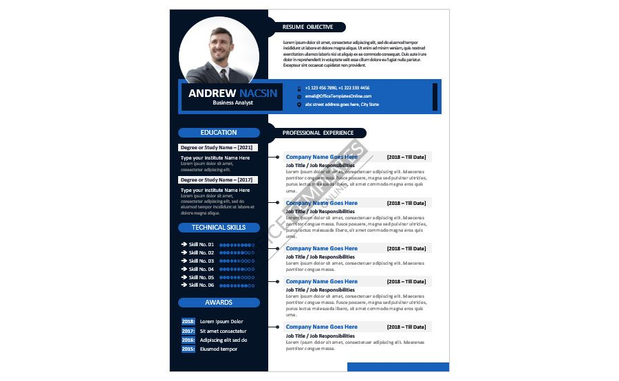 Download Business Analyst Resume Format in MS Word