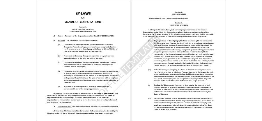 Sample Corporate Bylaws Format 19
