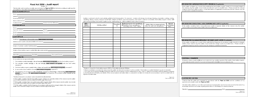 Food Audit Report Template