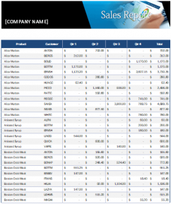 Best Sales Report Template by Customers and Products
