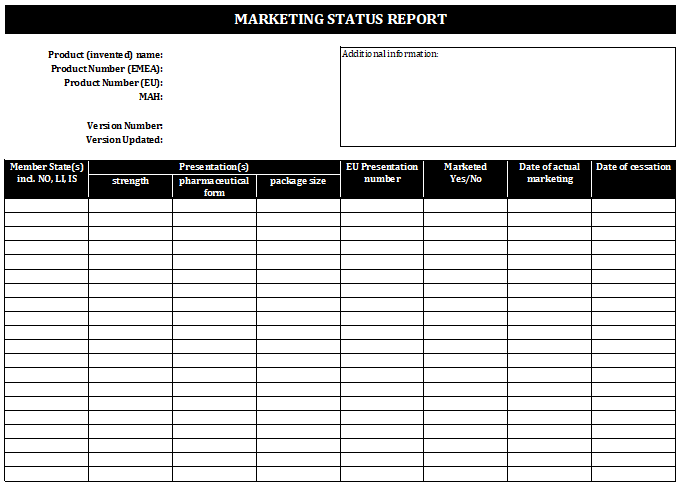 Info product Report Template PDF