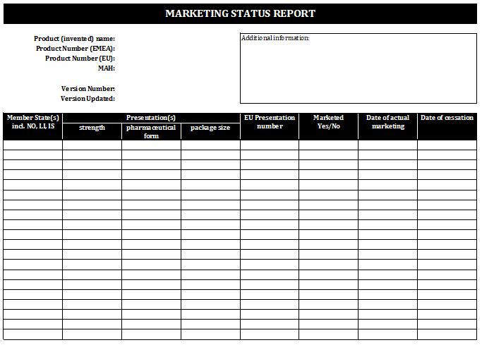 product-report-template-classles-democracy