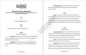Corporate Bylaws Format 06