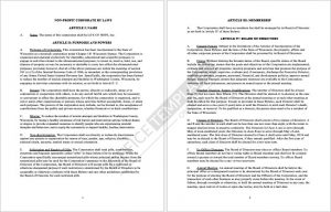 Corporate Bylaws Format 07