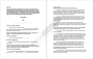 Corporate Bylaws Format 09
