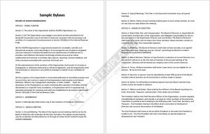 Sample Corporate Bylaws Format 10