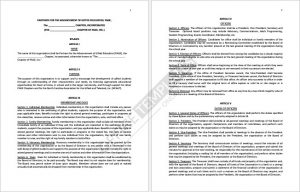 Sample Corporate Bylaws Format 11
