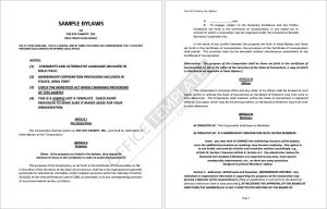 Sample Corporate Bylaws Format 12
