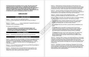 Sample Corporate Bylaws Format 13
