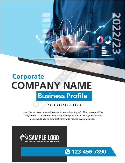 Corporation Profile